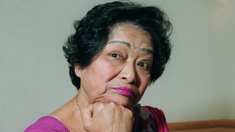 Read more about the article Shakuntala Devi Human Computer